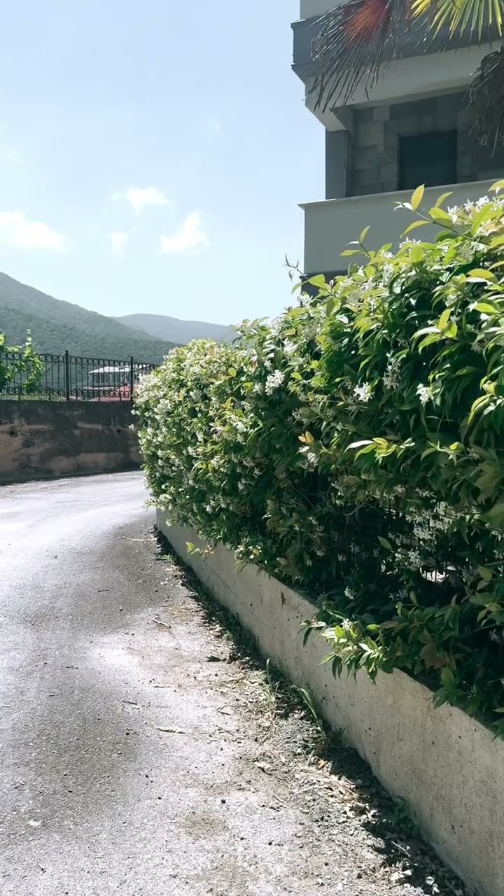 Prestige Villa Turanköy video 3